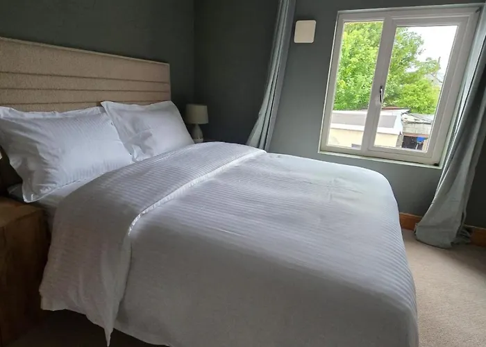 Cozy Town House Апартаменты